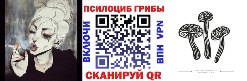Псилоцибиновые грибы Psilocybine cubensis продажа наркотиков Порхов